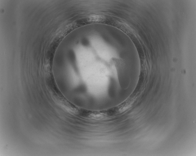 X0000075860557200609151229