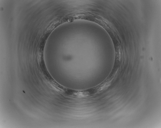 X0000075860558200609151229