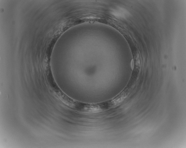 X0000075860559200609151229