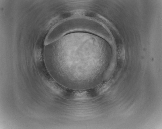 X0000075860560200609151229