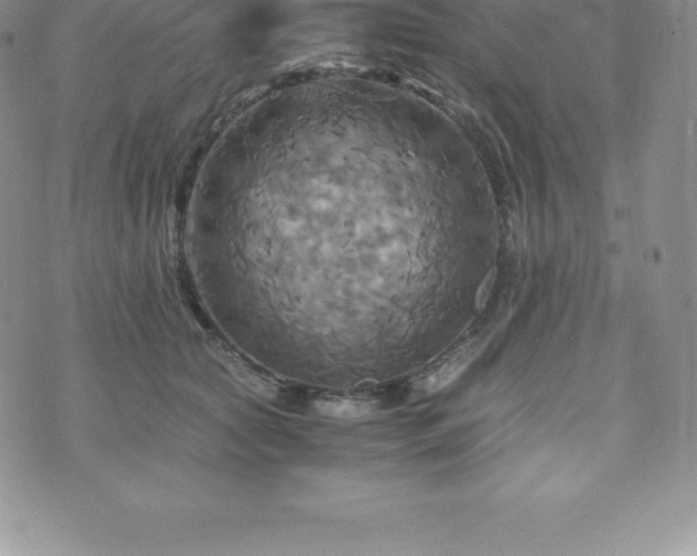 X0000075860561200609151229