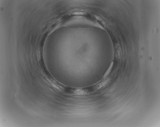 X0000075860562200609151229