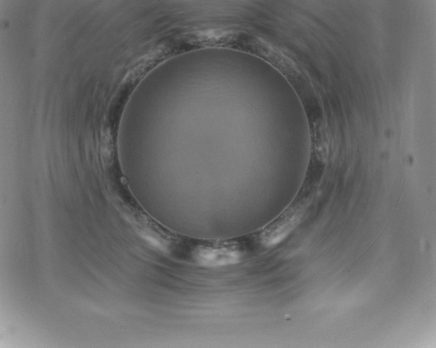 X0000075860563200609151229