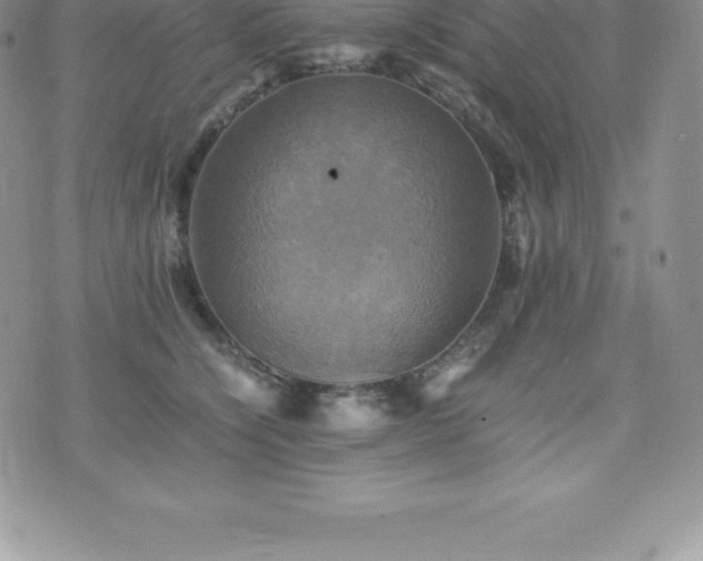 X0000075860564200609151229