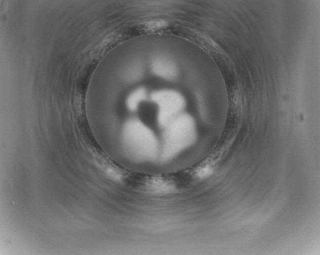 X0000075860565200609151229