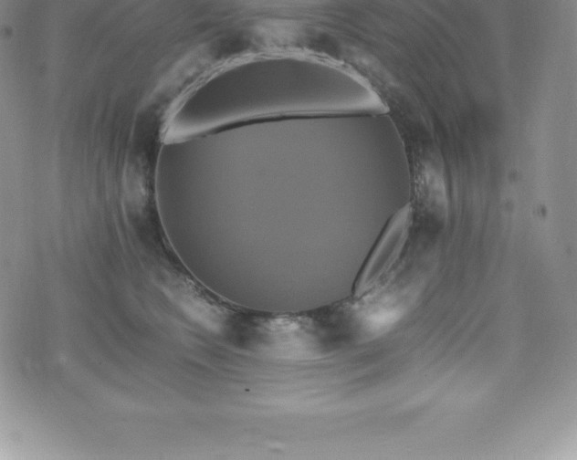 X0000075860566200609151229