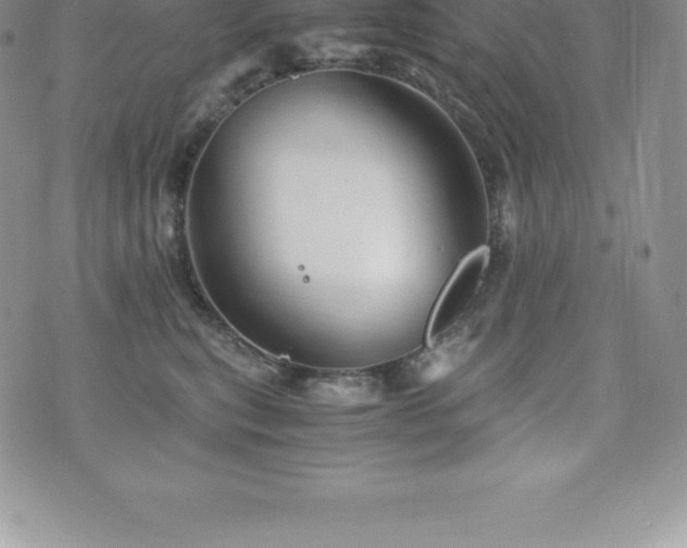 X0000075860567200609151229