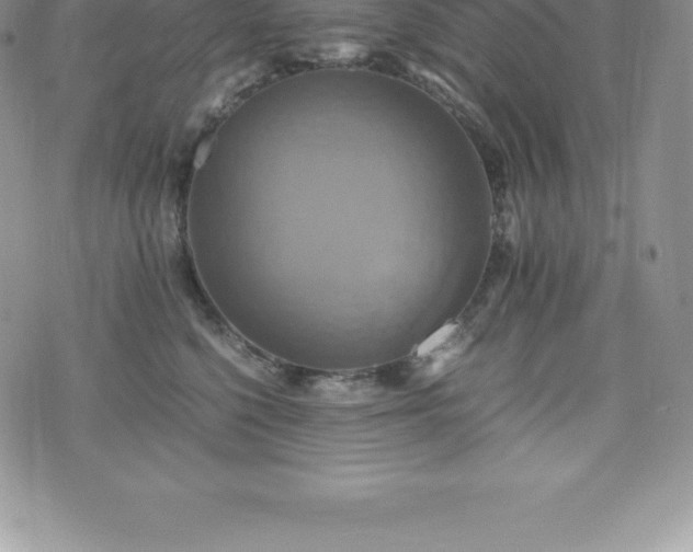 X0000075860568200609151229