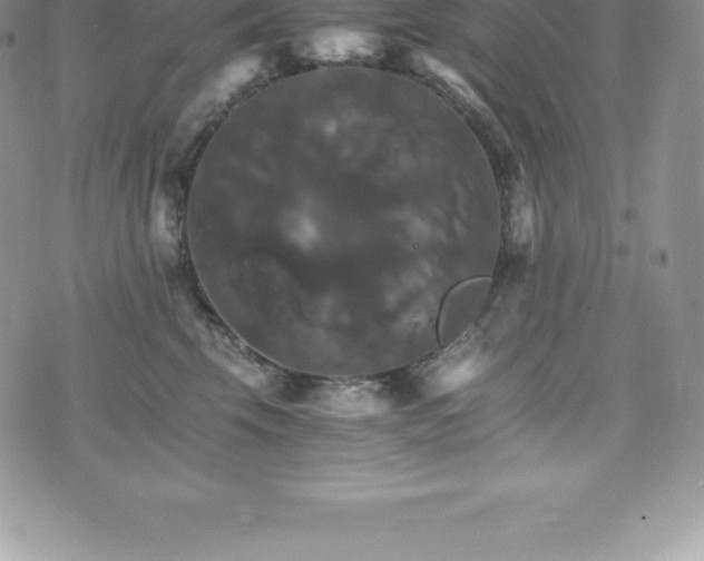 X0000075860569200609151229