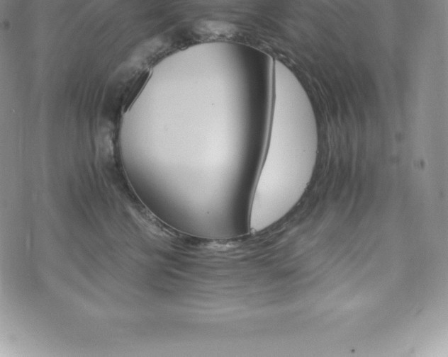 X0000075860570200609151229