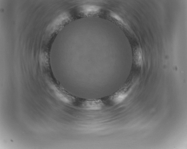 X0000075860571200609151229