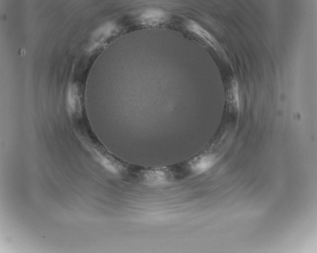 X0000075860572200609151229