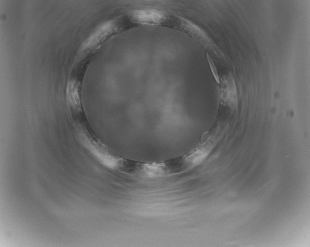 X0000075860573200609151229