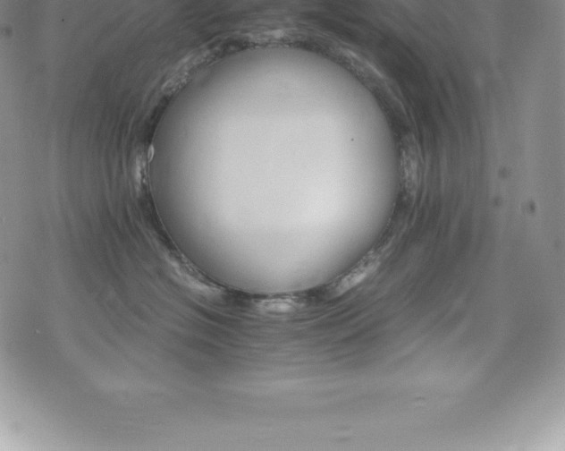 X0000075860574200609151229