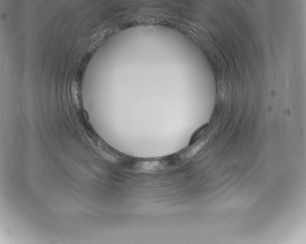 X0000075860575200609151229