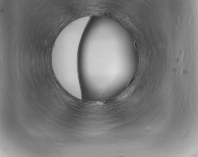 X0000075860576200609151229