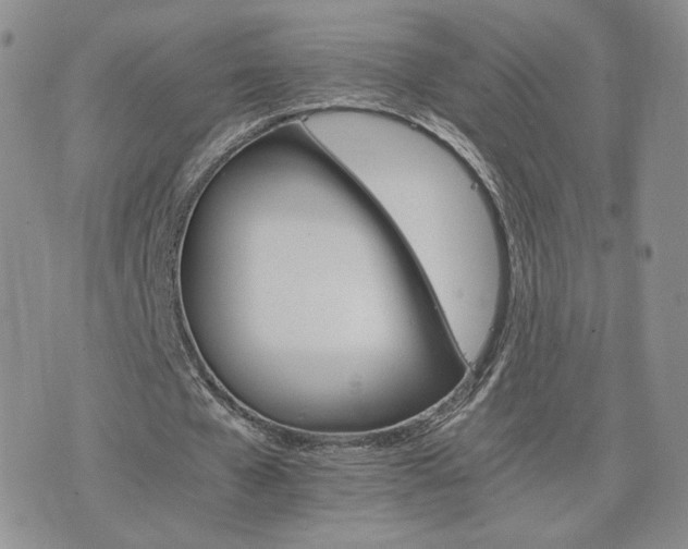 X0000075860577200609151228