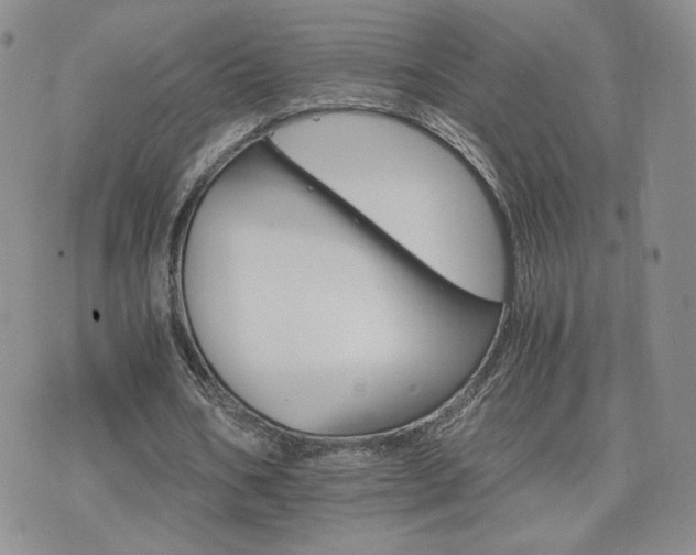 X0000075860578200609151228