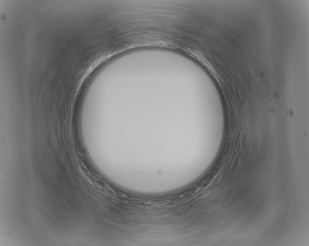 X0000075860579200609151228