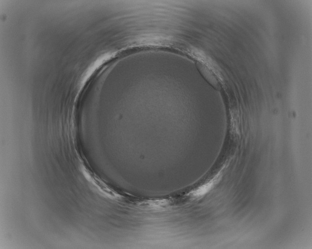 X0000075860580200609151228