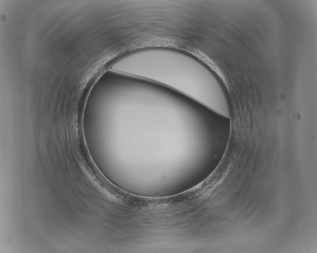 X0000075860581200609151228