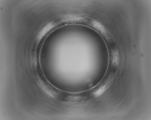 X0000075860582200609151228