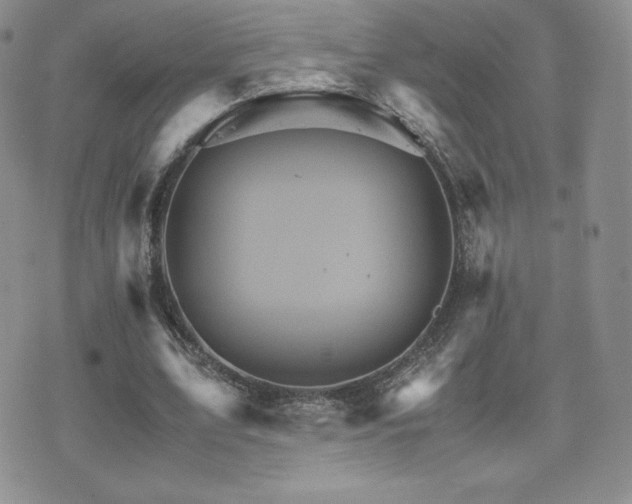 X0000075860583200609151228