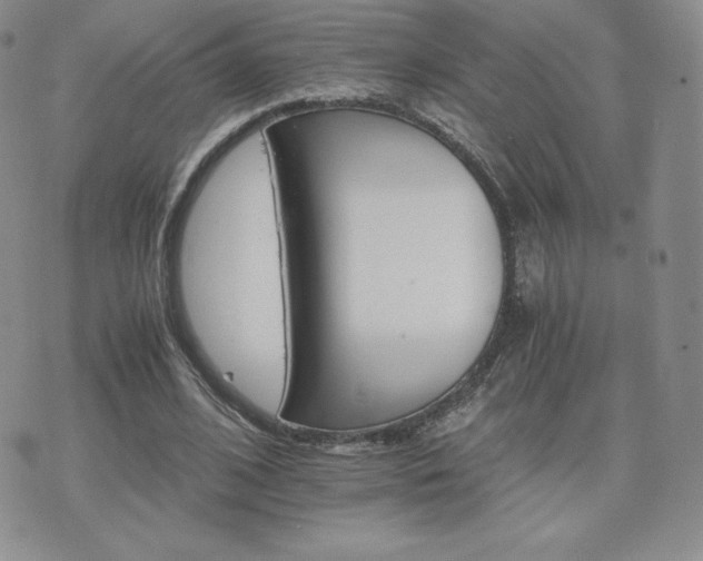 X0000075860584200609151228