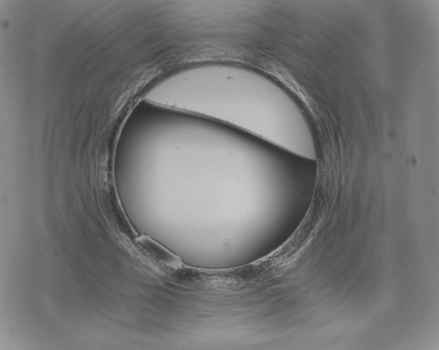 X0000075860585200609151228