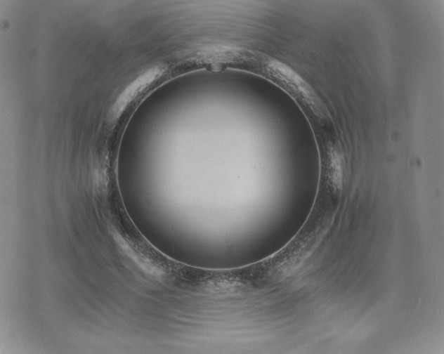 X0000075860586200609151228