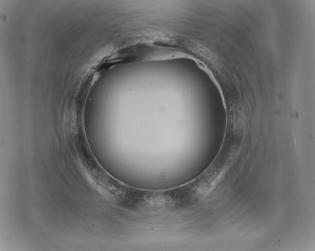 X0000075860587200609151228