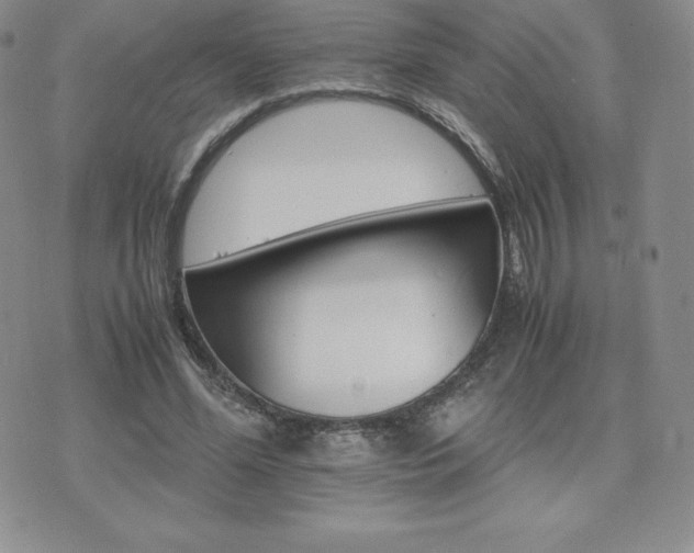 X0000075860588200609151228