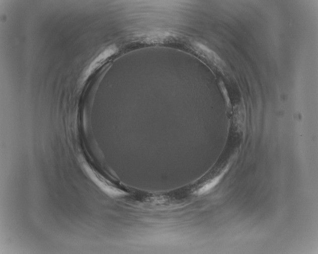 X0000075860589200609151228