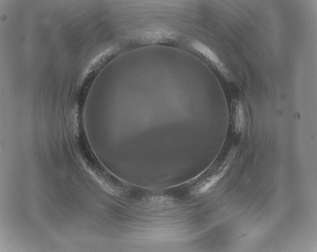 X0000075860590200609151228