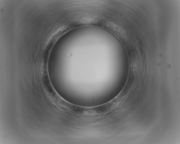 X0000075860591200609151228