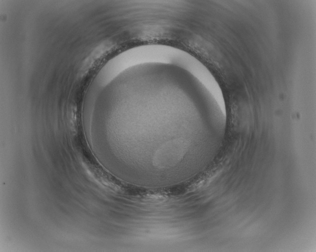 X0000075860592200609151228