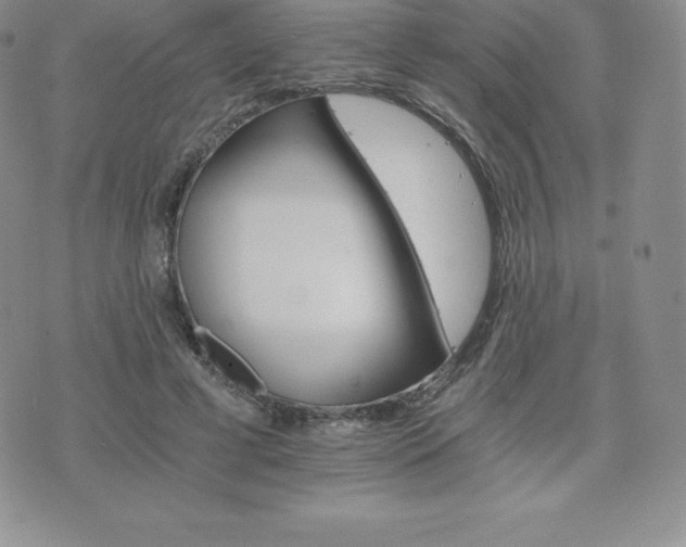 X0000075860593200609151228