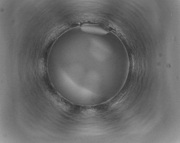 X0000075860594200609151228