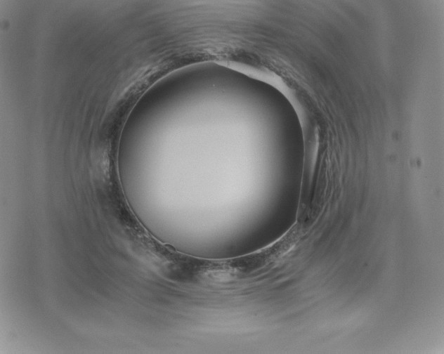 X0000075860595200609151228