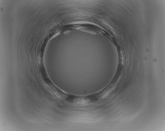 X0000075860597200609151228