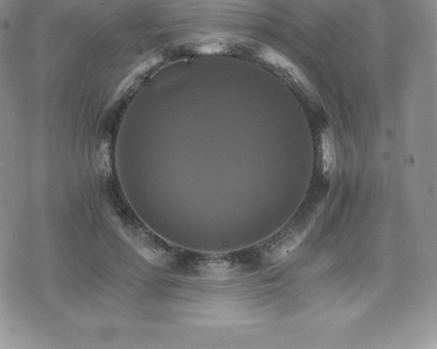 X0000075860598200609151228