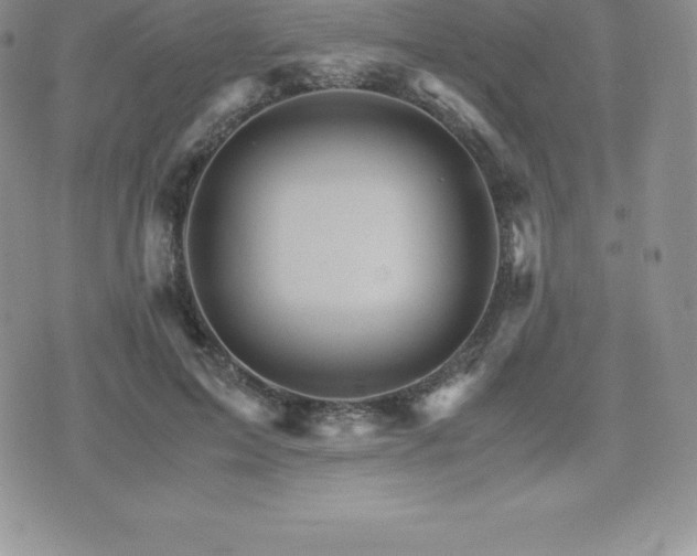 X0000075860599200609151228