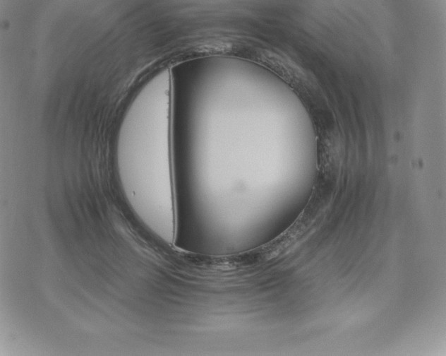 X0000075860600200609151228