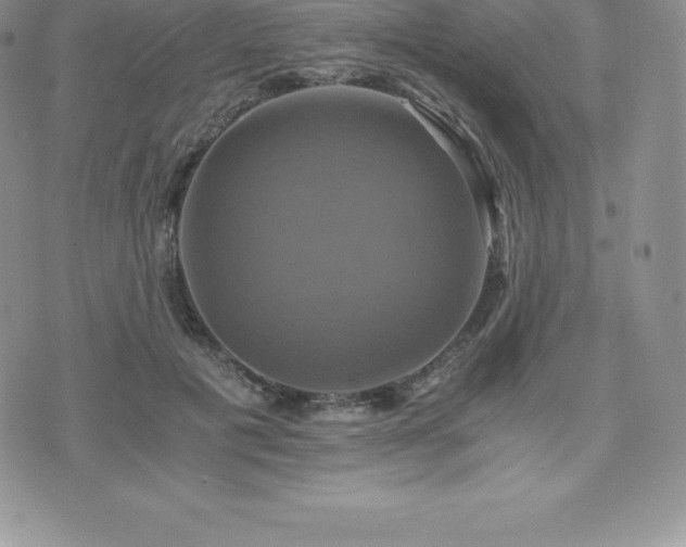 X0000075860601200609151228