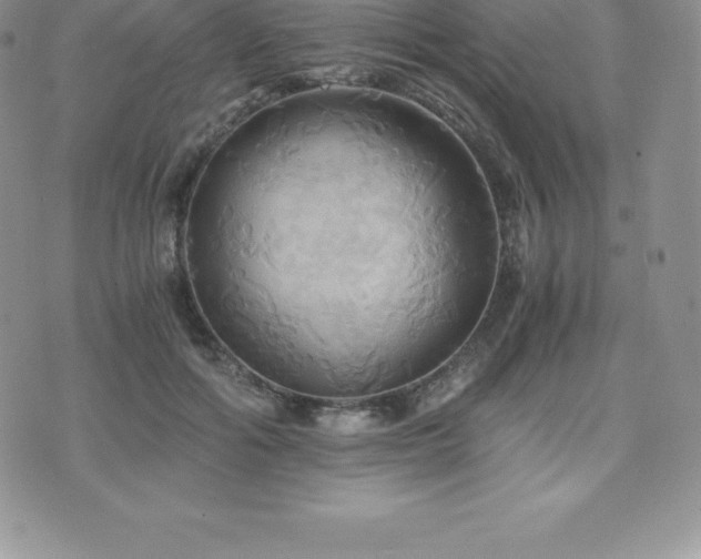 X0000075860602200609151228