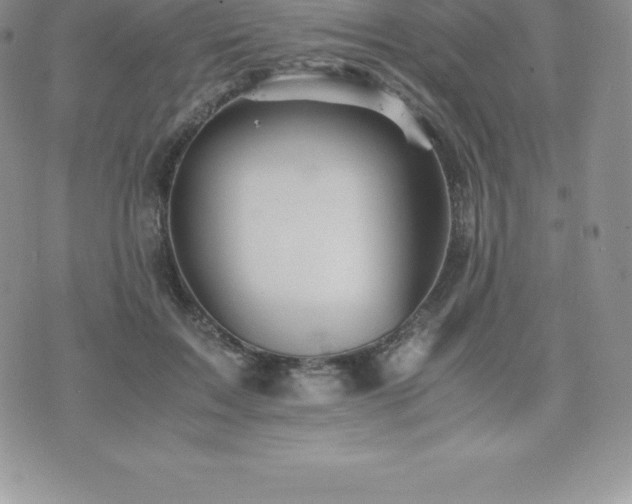 X0000075860603200609151228