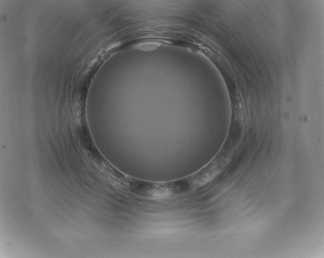 X0000075860604200609151228