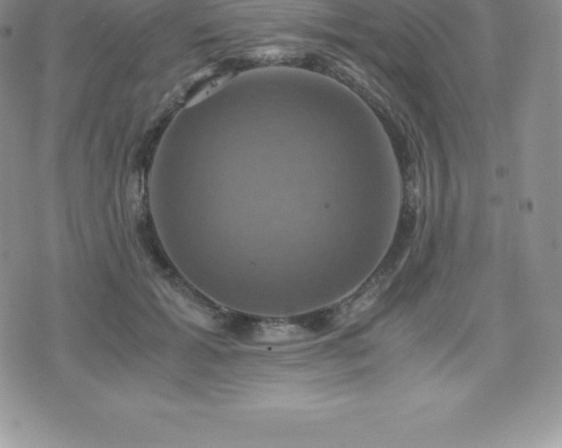 X0000075860605200609151228