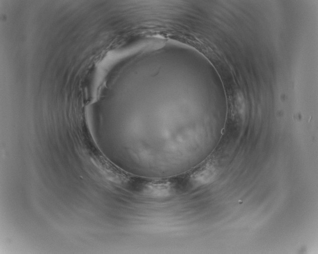 X0000075860606200609151228