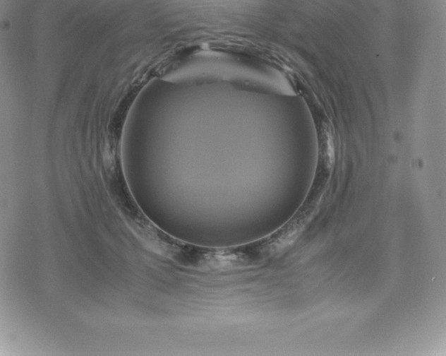 X0000075860607200609151228